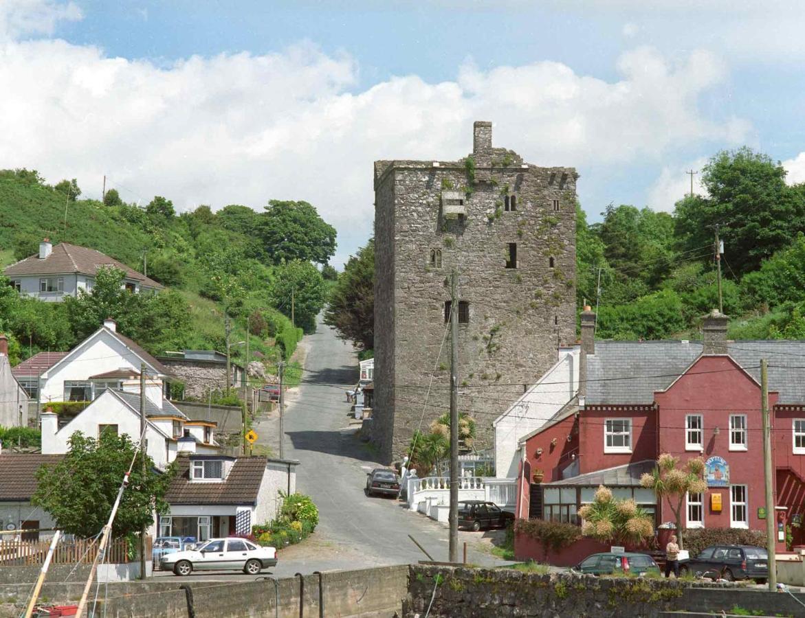 Ballyhack By The Sea Arthurstown Exterior photo